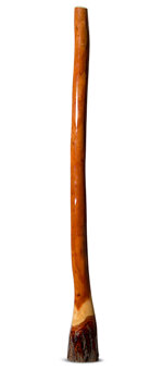 Ironbark Didgeridoo (IB168)